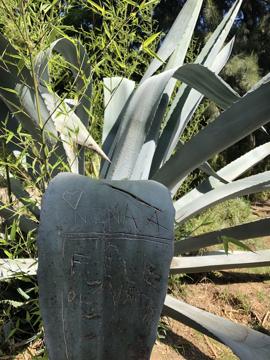 Portugal von Karsten Rohrbeck