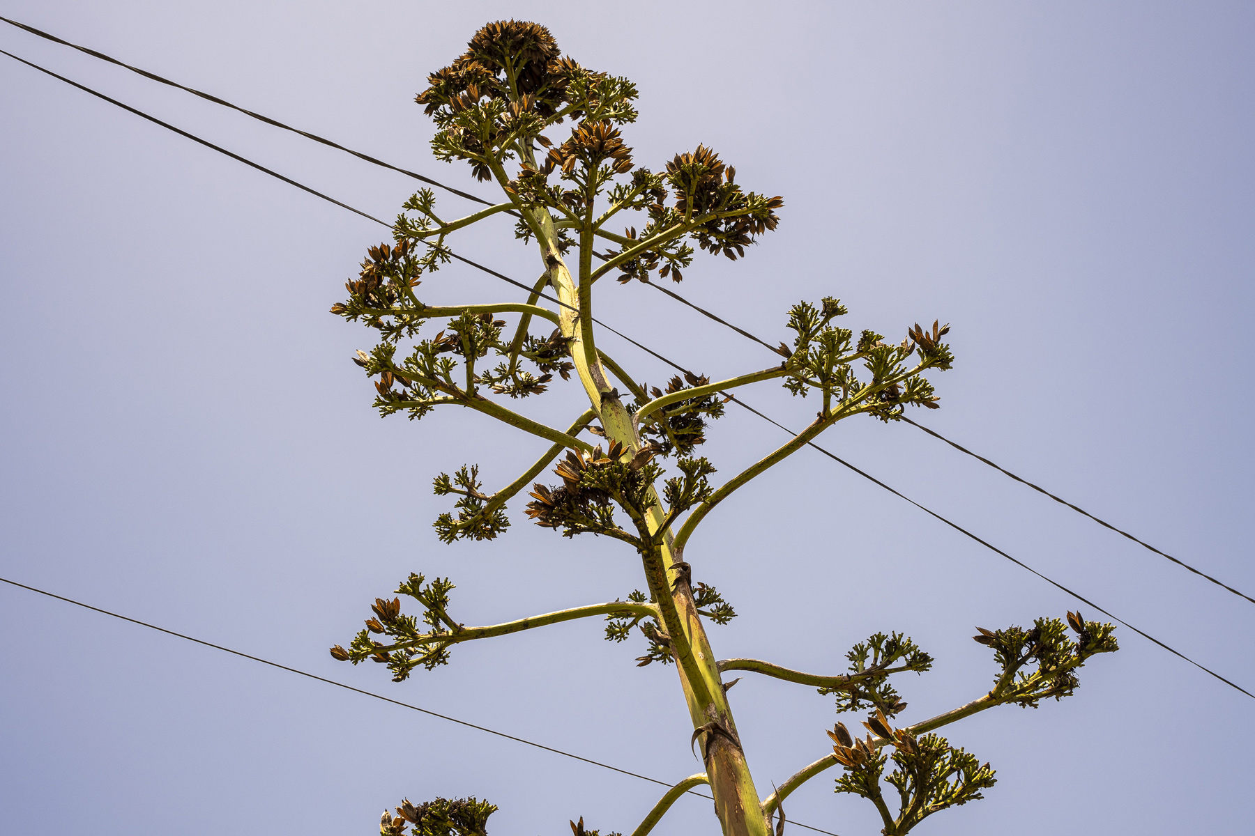 Portugal — Karsten Rohrbeck