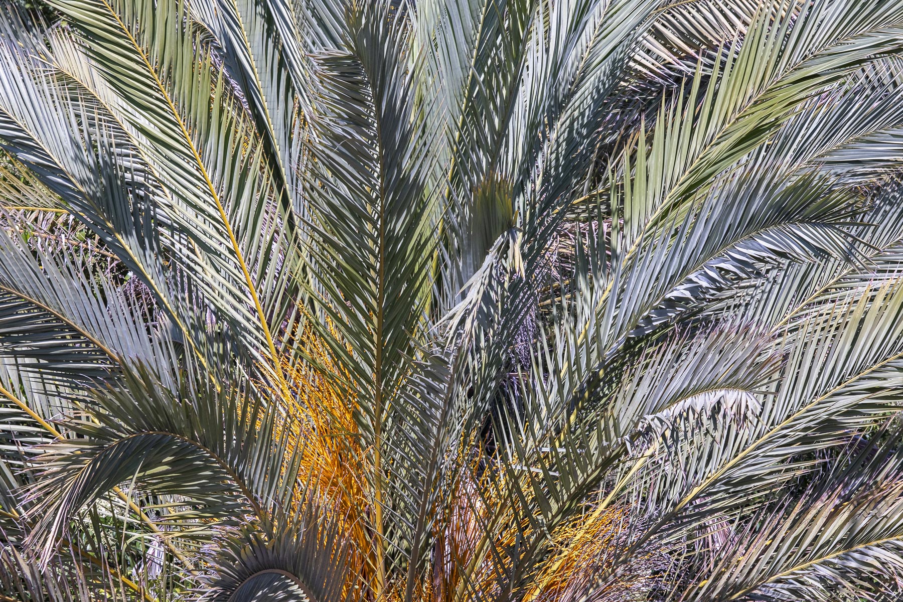 Portugal — Karsten Rohrbeck