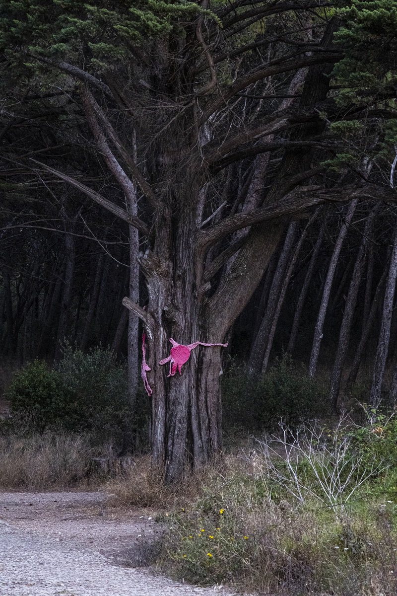 Portugal — Karsten Rohrbeck